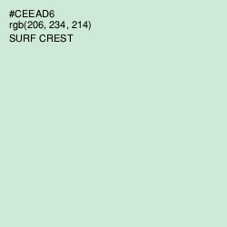 #CEEAD6 - Surf Crest Color Image