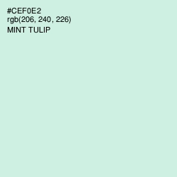 #CEF0E2 - Mint Tulip Color Image