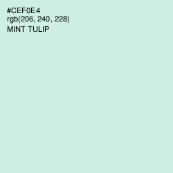 #CEF0E4 - Mint Tulip Color Image