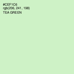 #CEF1C6 - Tea Green Color Image