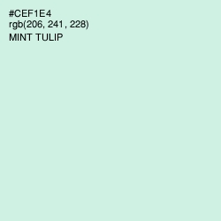 #CEF1E4 - Mint Tulip Color Image