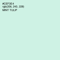 #CEF3E4 - Mint Tulip Color Image
