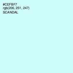 #CEFBF7 - Scandal Color Image