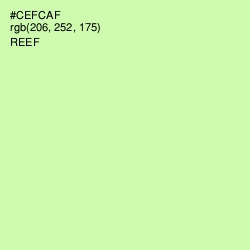 #CEFCAF - Reef Color Image