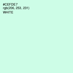 #CEFDE7 - Aero Blue Color Image