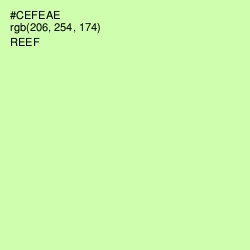 #CEFEAE - Reef Color Image