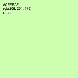 #CEFEAF - Reef Color Image