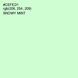 #CEFED1 - Snowy Mint Color Image