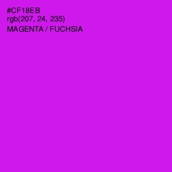 #CF18EB - Magenta / Fuchsia Color Image