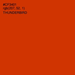 #CF3401 - Thunderbird Color Image