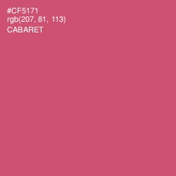 #CF5171 - Cabaret Color Image