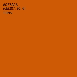 #CF5A06 - Tenn Color Image