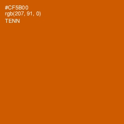 #CF5B00 - Tenn Color Image