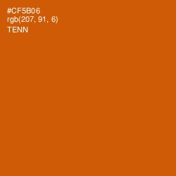 #CF5B06 - Tenn Color Image