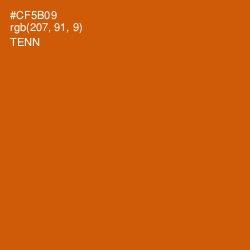 #CF5B09 - Tenn Color Image