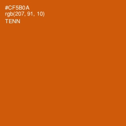 #CF5B0A - Tenn Color Image