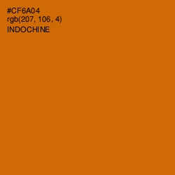 #CF6A04 - Indochine Color Image
