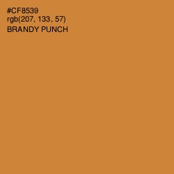 #CF8539 - Brandy Punch Color Image