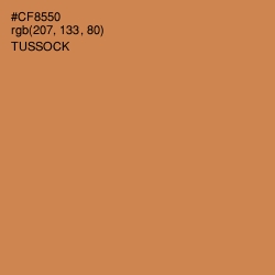 #CF8550 - Tussock Color Image