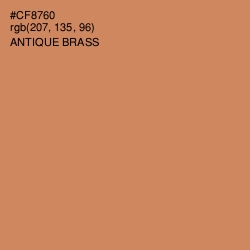 #CF8760 - Antique Brass Color Image