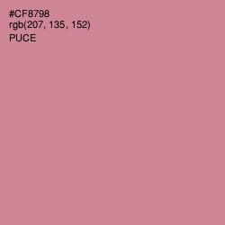 #CF8798 - Puce Color Image