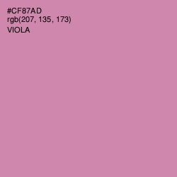 #CF87AD - Viola Color Image
