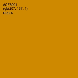 #CF8901 - Pizza Color Image