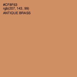 #CF8F63 - Antique Brass Color Image