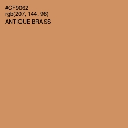 #CF9062 - Antique Brass Color Image