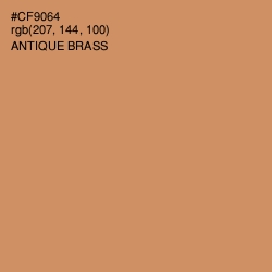 #CF9064 - Antique Brass Color Image