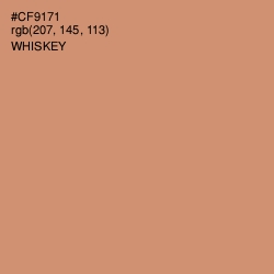 #CF9171 - Whiskey Color Image