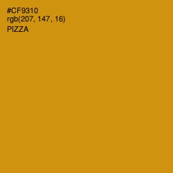 #CF9310 - Pizza Color Image