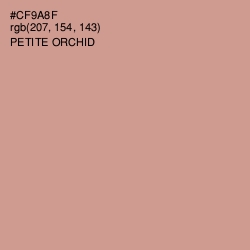 #CF9A8F - Petite Orchid Color Image