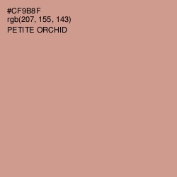 #CF9B8F - Petite Orchid Color Image