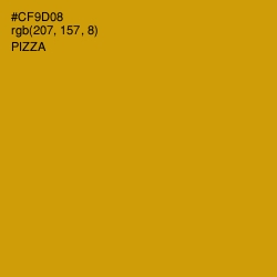 #CF9D08 - Pizza Color Image