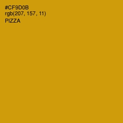 #CF9D0B - Pizza Color Image