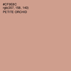 #CF9E8C - Petite Orchid Color Image