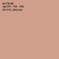 #CF9F8B - Petite Orchid Color Image