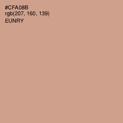 #CFA08B - Eunry Color Image