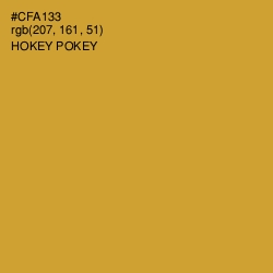 #CFA133 - Hokey Pokey Color Image