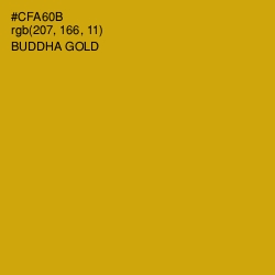 #CFA60B - Buddha Gold Color Image