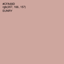 #CFA69D - Eunry Color Image