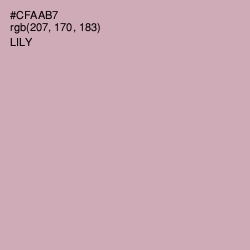 #CFAAB7 - Lily Color Image