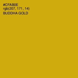 #CFAB0E - Buddha Gold Color Image