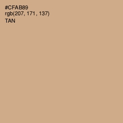 #CFAB89 - Tan Color Image