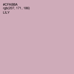 #CFABBA - Lily Color Image