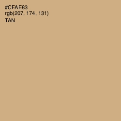 #CFAE83 - Tan Color Image