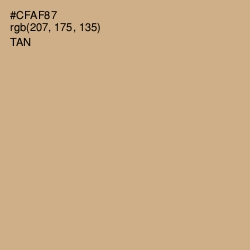 #CFAF87 - Tan Color Image