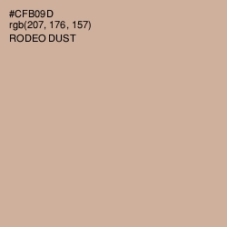 #CFB09D - Rodeo Dust Color Image