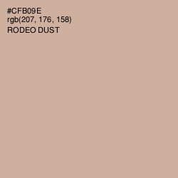 #CFB09E - Rodeo Dust Color Image